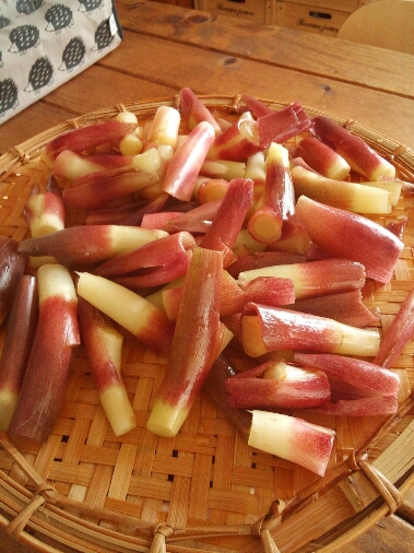 d0314745_1553275.jpg