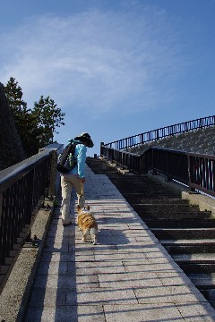 f0045846_9125358.jpg