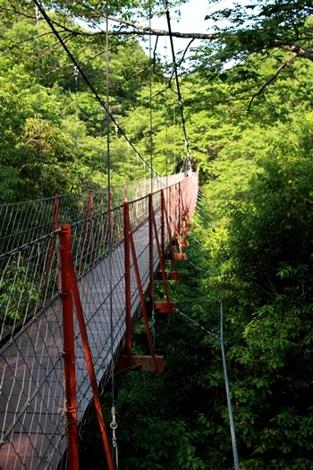 a0167750_09163293.jpg