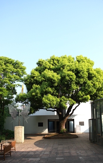 a0167750_09164000.jpg