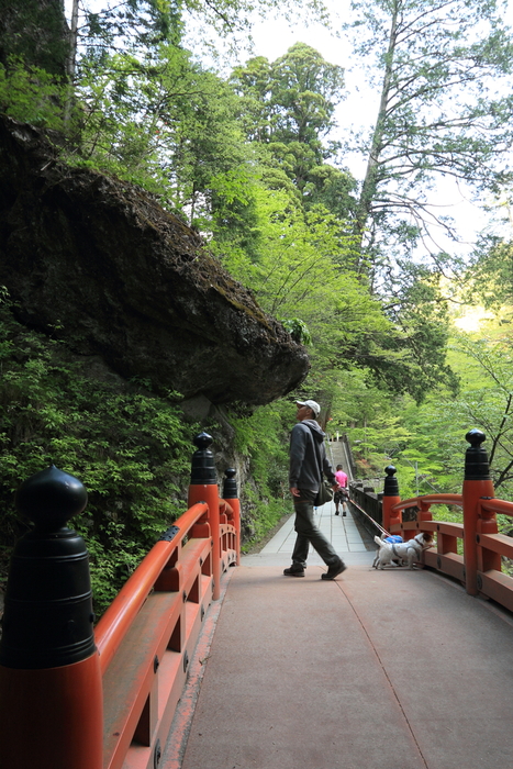 榛名神社_d0168652_10185565.jpg