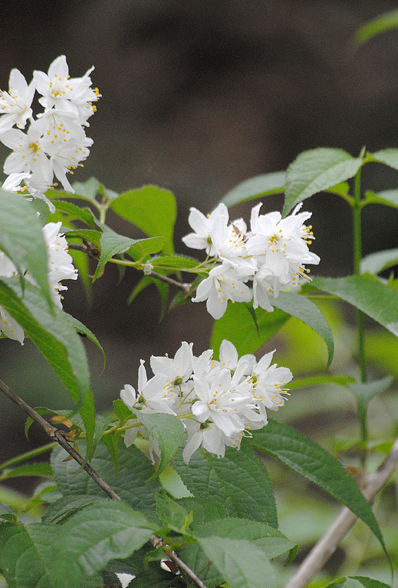 a0001354_23462987.gif