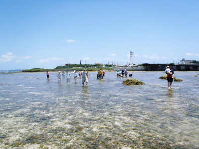 c0180460_1550106.jpg