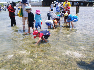 c0180460_15552044.jpg