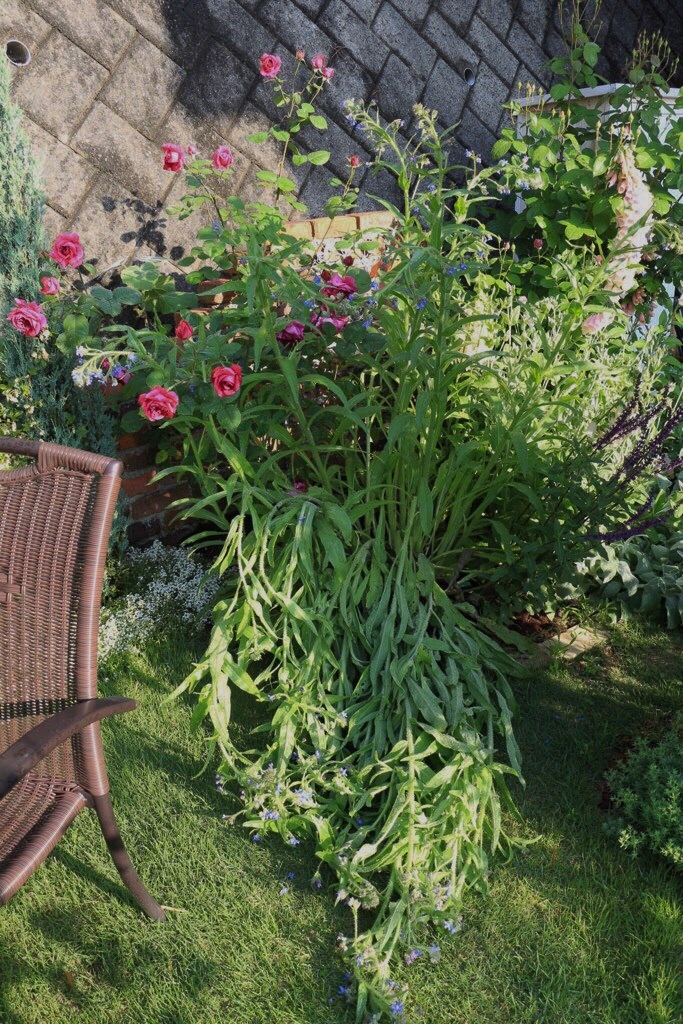f0272164_12010838.jpg