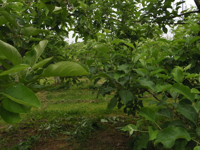 いろいろ 5・13_e0019167_18573360.jpg
