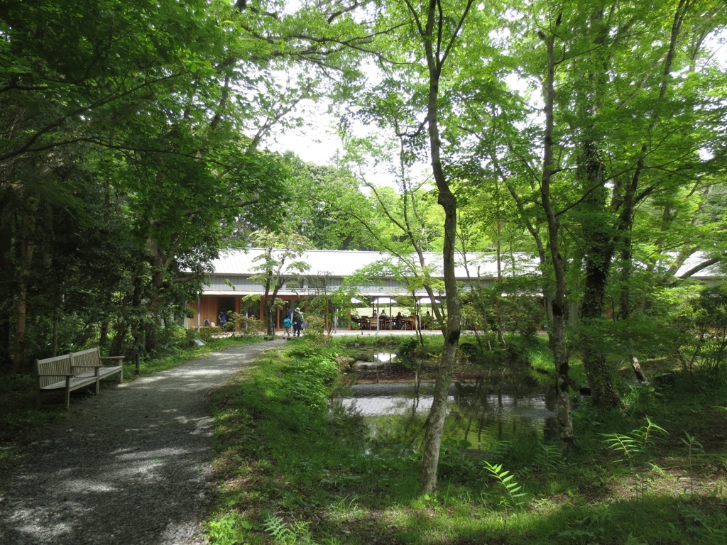裾野キャンプ_c0310571_06073454.jpg
