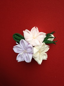 阿亀屋さんの撫子_c0122475_204514.jpg