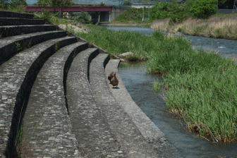c0054876_161832.gif
