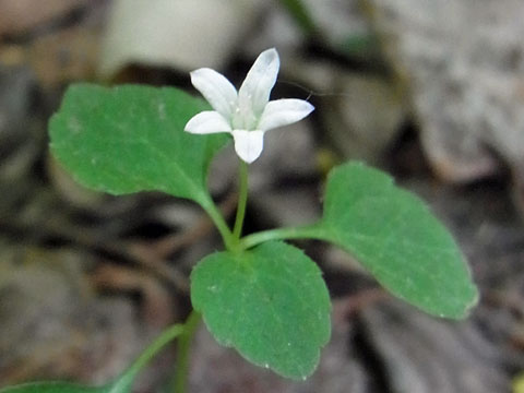 f0083977_7304074.jpg