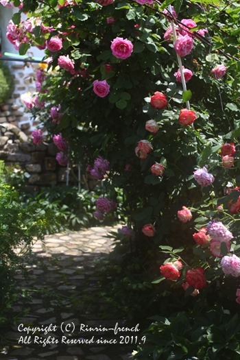 薔薇の咲く楽園へ・・・ange village_e0237680_18111276.jpg