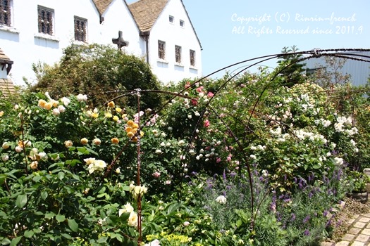 薔薇の咲く楽園へ・・・ange village_e0237680_1894224.jpg