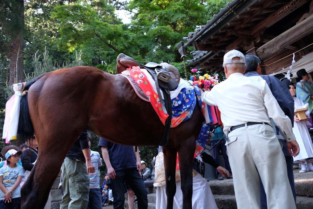 東宮神社流鏑馬　＜２＞　 栃木市　２０１５・０５・０５_e0143883_2221649.jpg