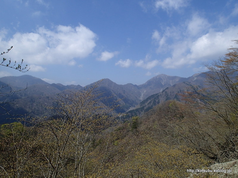 春の丹沢　寄～雨山峠～鍋割山～大倉③_e0195587_19351898.jpg