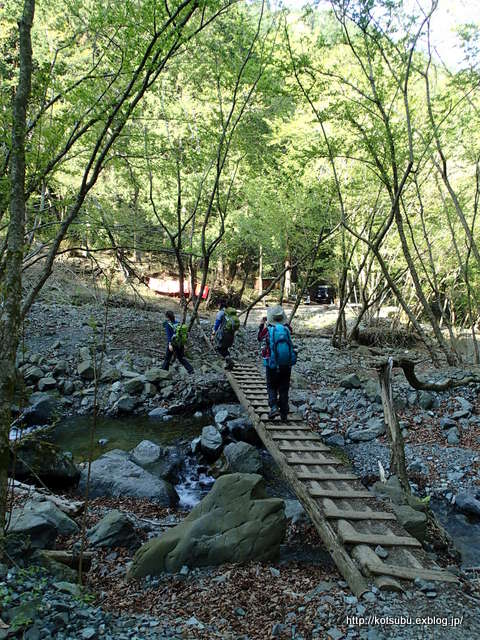 春の丹沢　寄～雨山峠～鍋割山～大倉③_e0195587_19411873.jpg