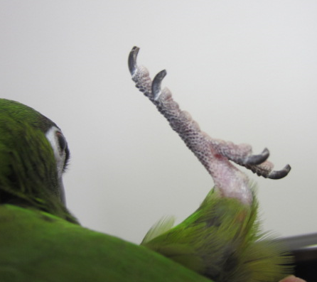f0234590_918149.png