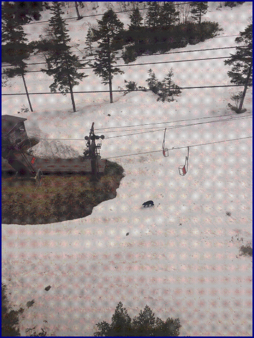e0161692_7353330.gif
