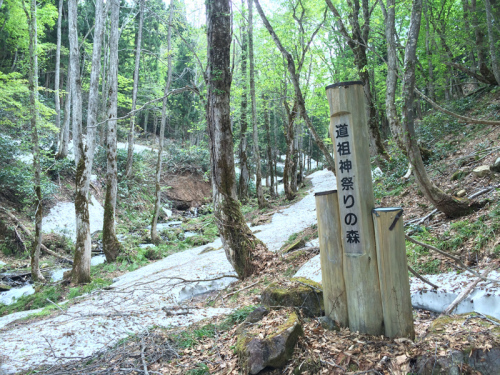 f0051306_12262992.jpg