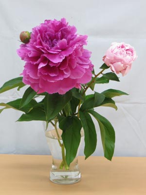 アトリエ蒼通信457 2015年5月14日(木)_b0129807_21175949.jpg