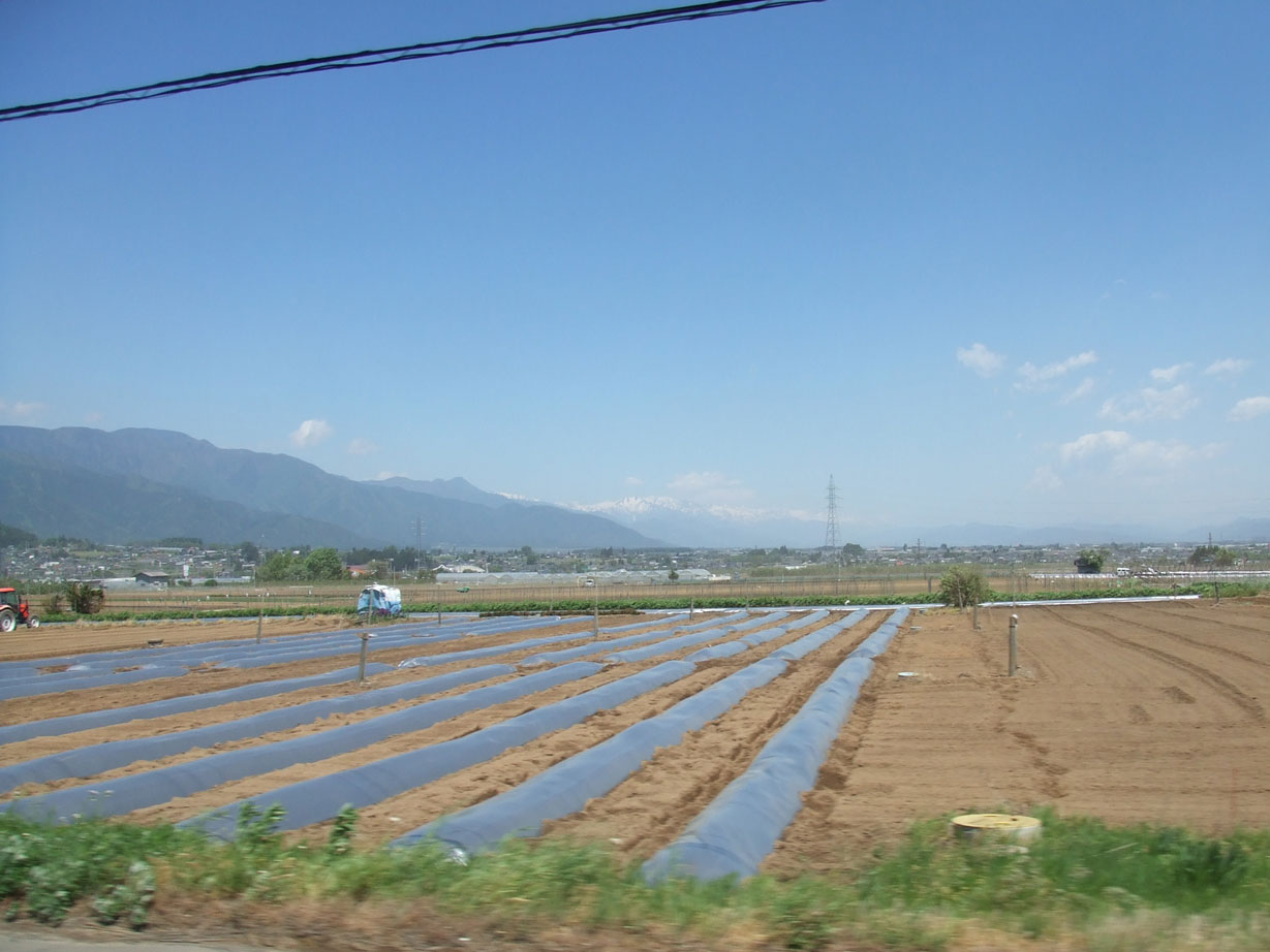 c0085508_913010.jpg