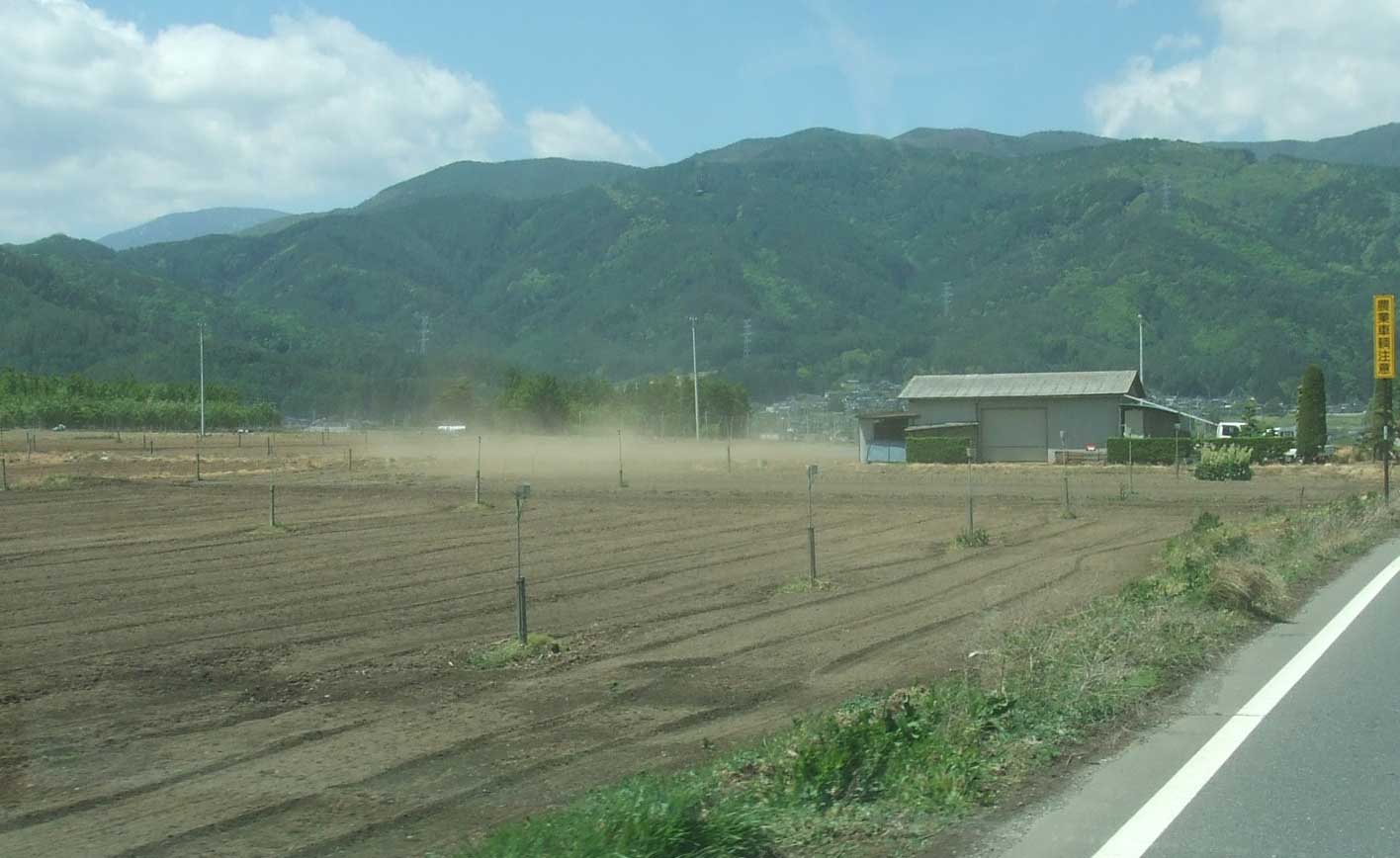 c0085508_914445.jpg
