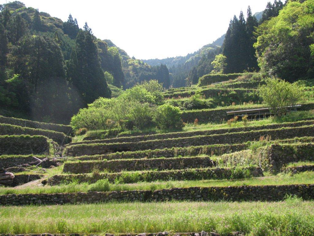 「第一回川に学ぶシリーズ　芋川流域を歩く」へのご案内☆_d0284413_21121807.jpg