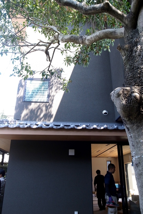 陶工房もちの木 アトリエ展_f0150413_1147416.jpg
