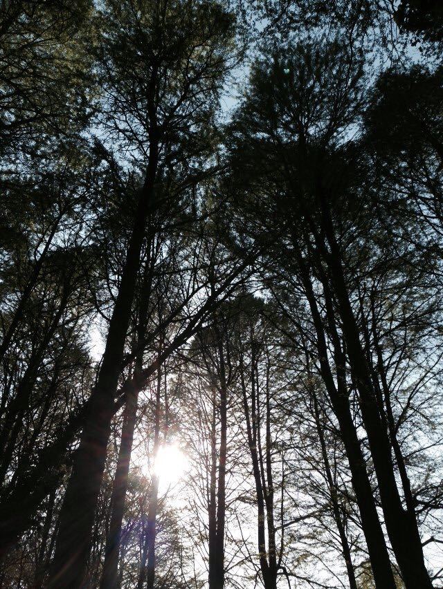 c0203514_9294992.jpg
