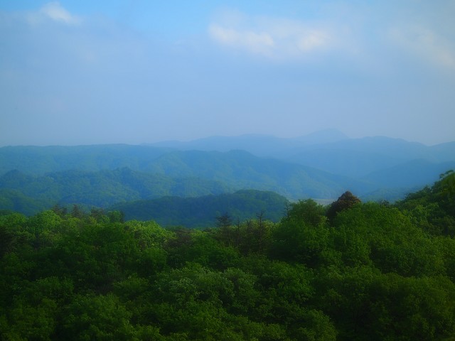 石上布都魂（いそのかみふつみたま）神社は、すごかった！_d0295818_22104123.jpg