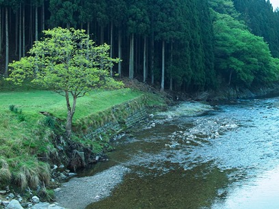 晴れ、奥山の朝　　　　朽木小川・気象台より_c0044819_7352692.jpg