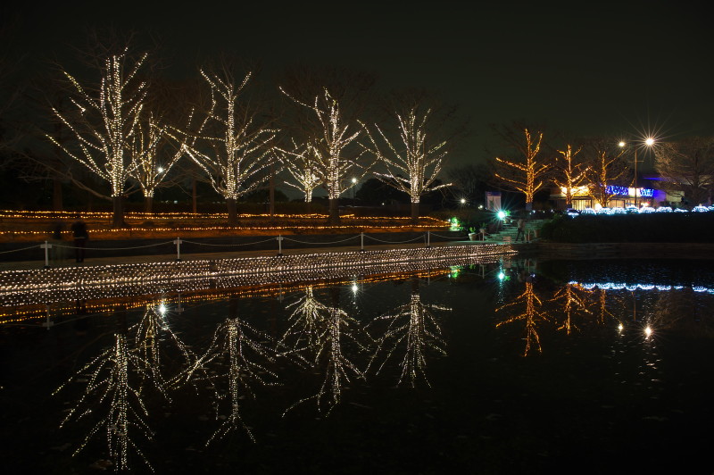 Winter　Vista　Illumination　2012　　in   国営昭和記念公園_c0158519_06080395.jpg