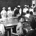 立憲主義の学説史を探索する - 青版の岩波新書にはその語がない_c0315619_16522980.jpg