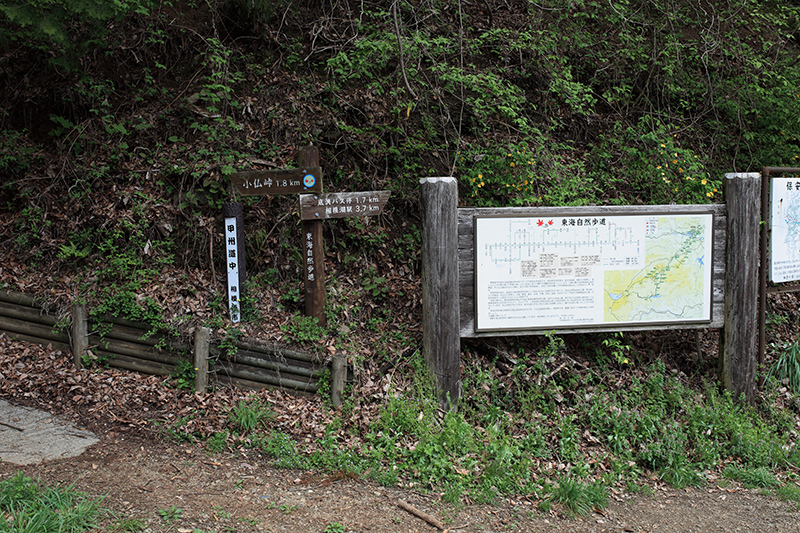 c0369219_21232904.jpg
