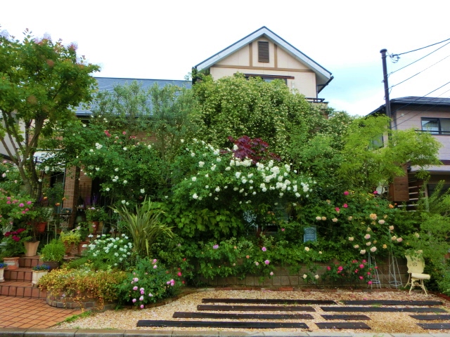 雨上がりに撮った庭　フロント東側_c0204121_2065712.jpg