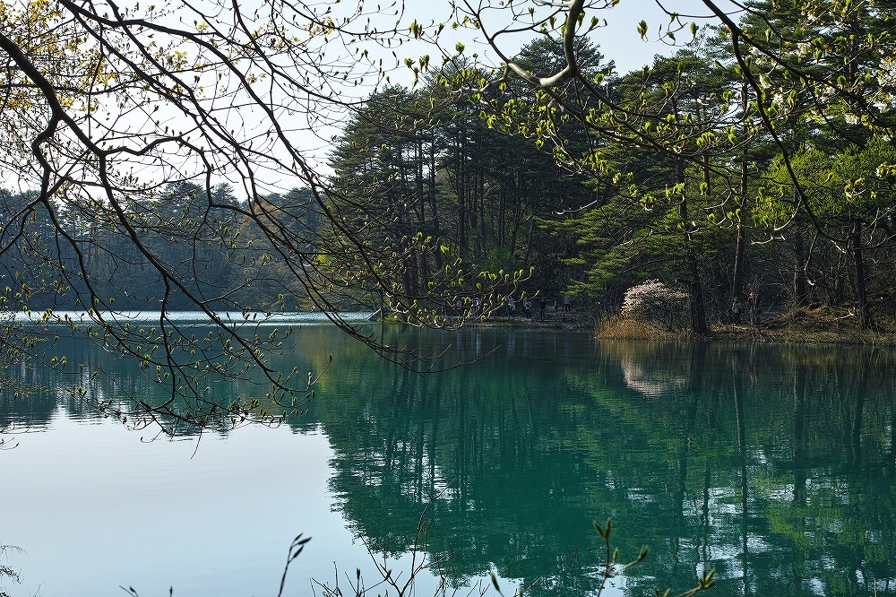  マイ・うつくしまふくしまの風景　～ 裏磐梯の美しき湖沼の風景　② ～_b0338222_21310854.jpg