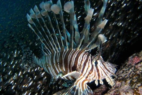 b0158923_21476100.jpg