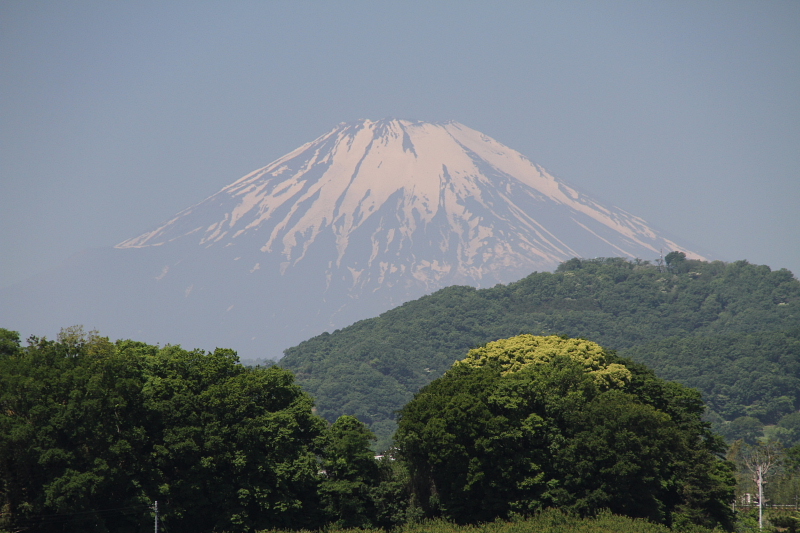 d0240223_4311679.jpg
