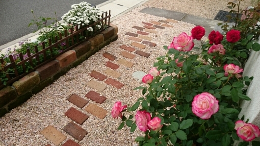 e0263224_22005576.jpg