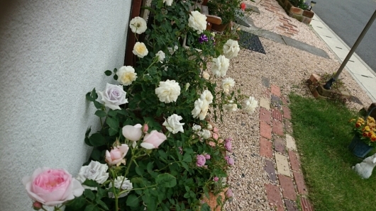 e0263224_22010261.jpg