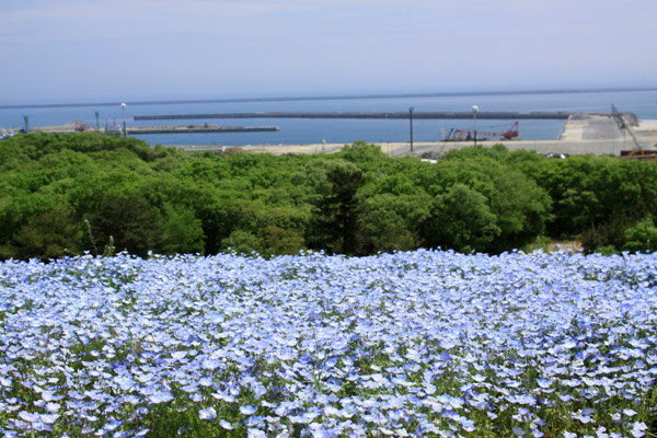 e0071225_0282255.jpg