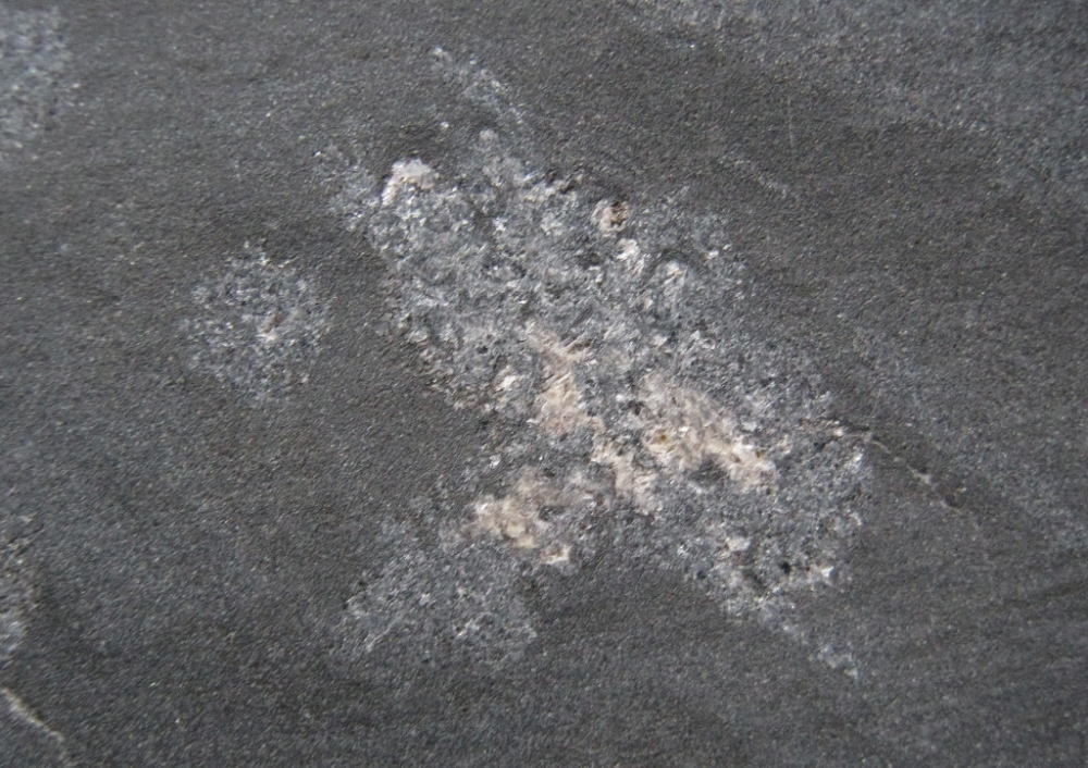 d0045626_22064233.jpg