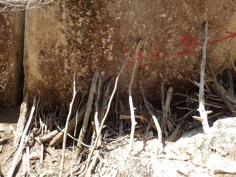 e0284726_22214578.jpg