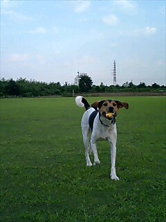 e0200529_02278.jpg