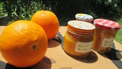 b0199933_1538228.jpg