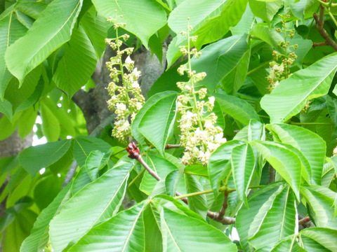 b0238249_20291419.jpg