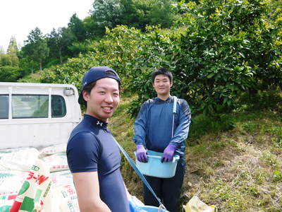 ザ・みかん 元気なみかんの花とさらに元気な農業実習生のお話し_a0254656_18163573.jpg