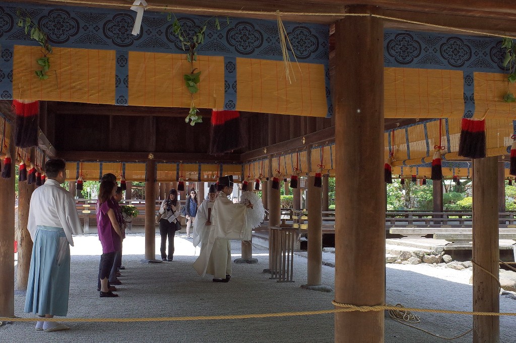 二葉葵（京都・上賀茂神社）_d0090161_065978.jpg