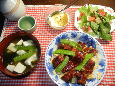 ’15,5,14(木)今日も夏日!_f0060461_12524690.jpg