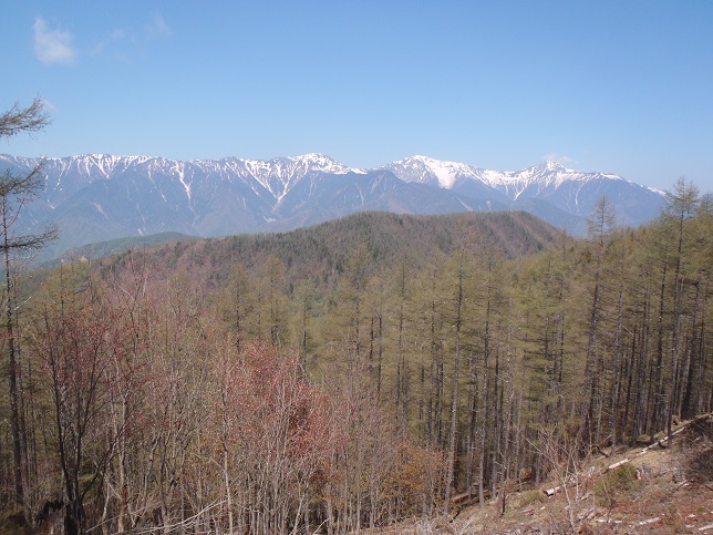 山梨県の山を歩く（２）櫛形山_d0032262_10183070.jpg