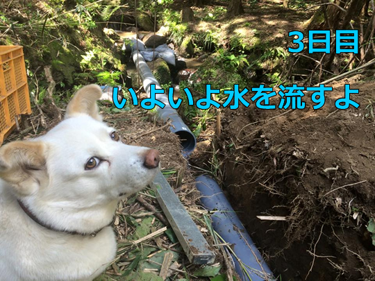 開拓GW(第五回)レポート!_c0177665_15471822.jpg